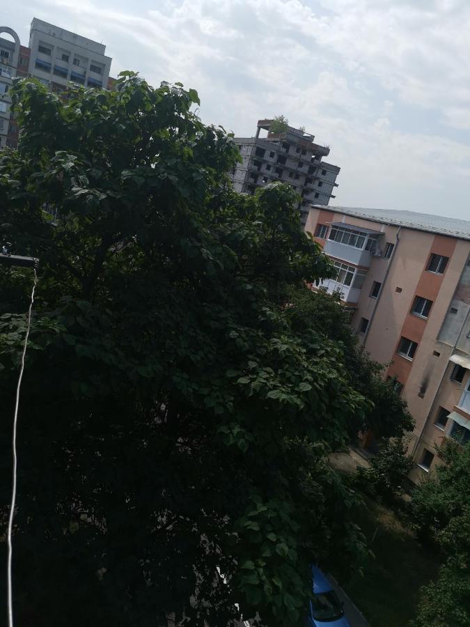 Bloom Box Apartments Craiova Kültér fotó
