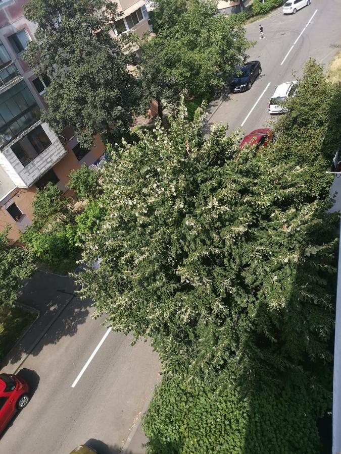 Bloom Box Apartments Craiova Kültér fotó