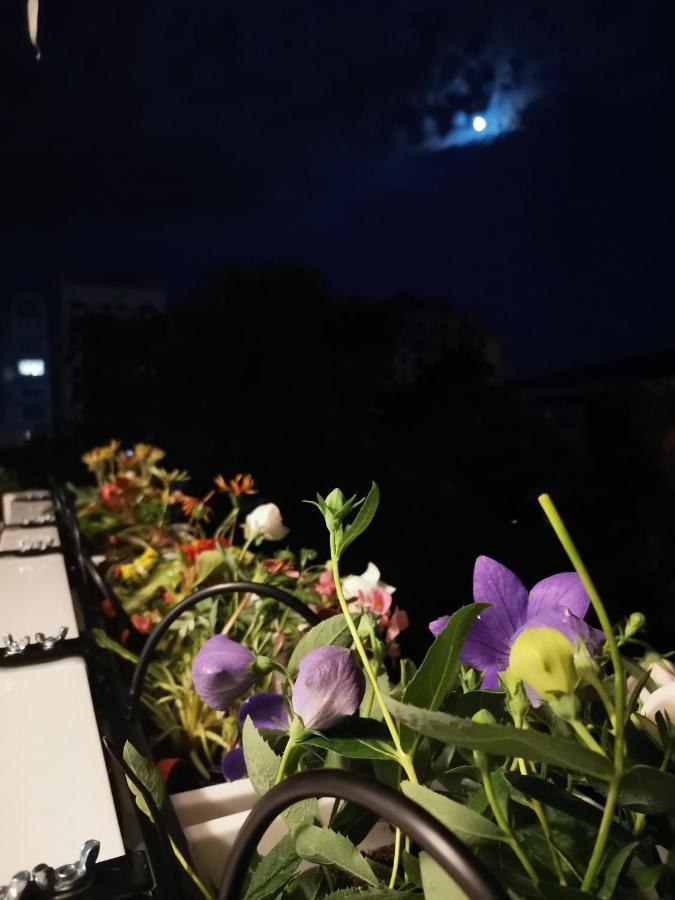 Bloom Box Apartments Craiova Kültér fotó