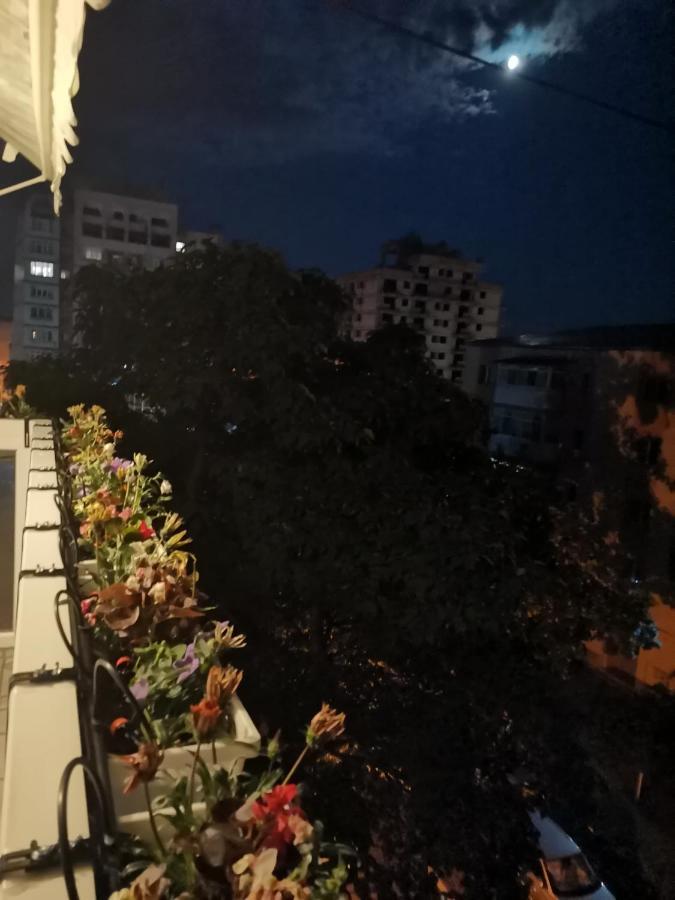 Bloom Box Apartments Craiova Kültér fotó